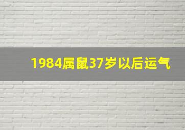 1984属鼠37岁以后运气