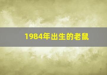 1984年出生的老鼠