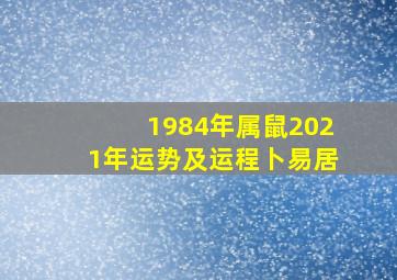 1984年属鼠2021年运势及运程卜易居