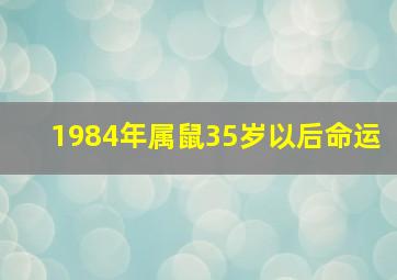 1984年属鼠35岁以后命运