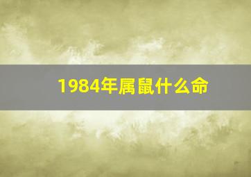 1984年属鼠什么命