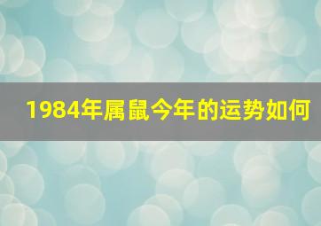 1984年属鼠今年的运势如何