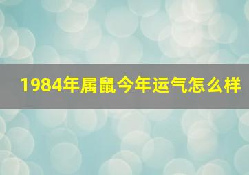 1984年属鼠今年运气怎么样