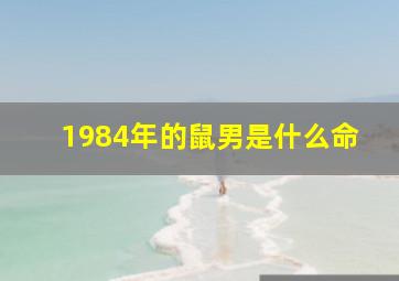 1984年的鼠男是什么命