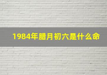 1984年腊月初六是什么命