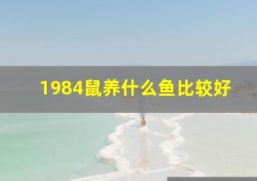 1984鼠养什么鱼比较好