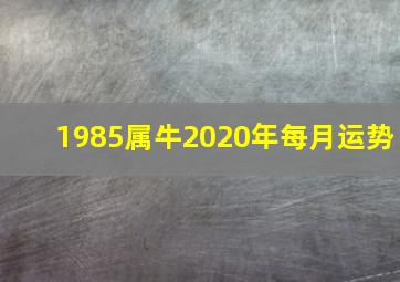 1985属牛2020年每月运势