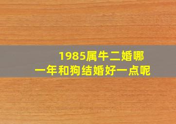 1985属牛二婚哪一年和狗结婚好一点呢