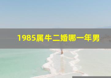 1985属牛二婚哪一年男