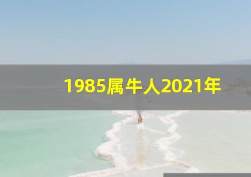 1985属牛人2021年