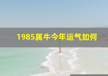 1985属牛今年运气如何