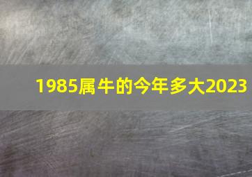 1985属牛的今年多大2023