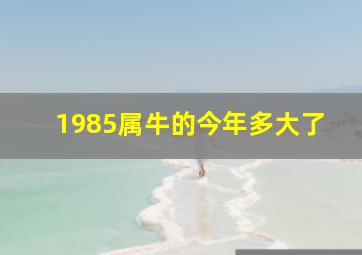 1985属牛的今年多大了