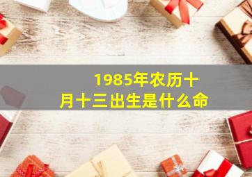 1985年农历十月十三出生是什么命