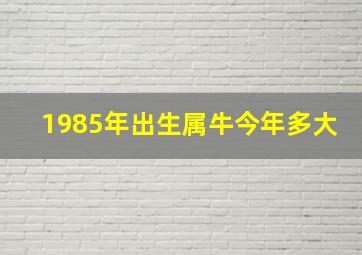 1985年出生属牛今年多大