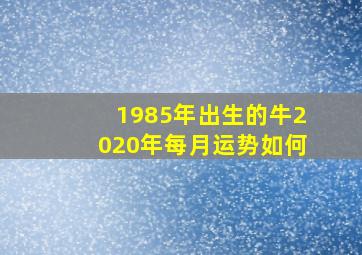 1985年出生的牛2020年每月运势如何