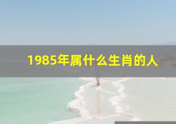 1985年属什么生肖的人