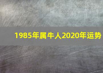 1985年属牛人2020年运势