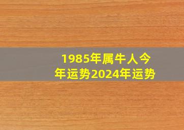 1985年属牛人今年运势2024年运势