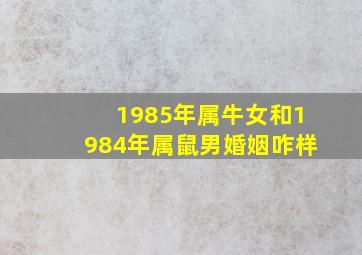 1985年属牛女和1984年属鼠男婚姻咋样