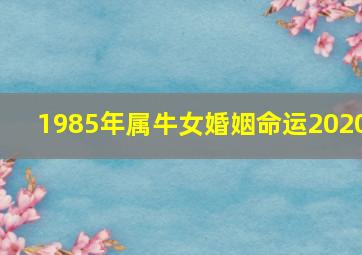 1985年属牛女婚姻命运2020