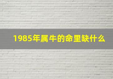 1985年属牛的命里缺什么