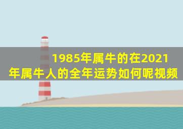 1985年属牛的在2021年属牛人的全年运势如何呢视频