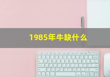 1985年牛缺什么