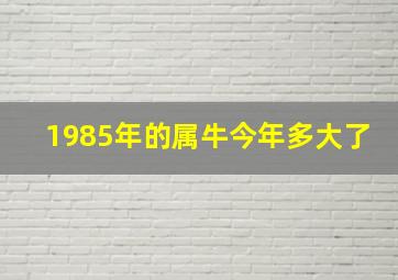 1985年的属牛今年多大了