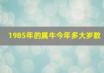 1985年的属牛今年多大岁数