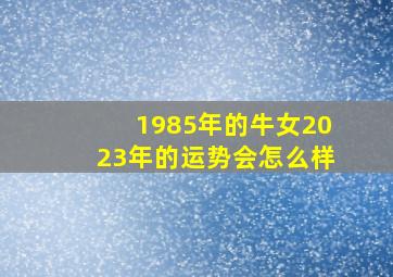 1985年的牛女2023年的运势会怎么样