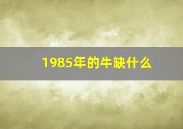 1985年的牛缺什么