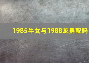 1985牛女与1988龙男配吗