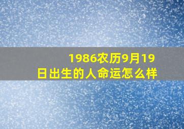 1986农历9月19日出生的人命运怎么样