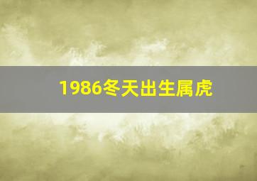 1986冬天出生属虎