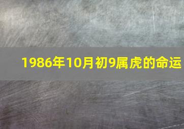 1986年10月初9属虎的命运