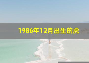 1986年12月出生的虎