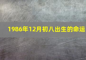 1986年12月初八出生的命运