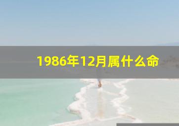 1986年12月属什么命