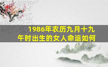 1986年农历九月十九午时出生的女人命运如何