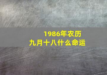 1986年农历九月十八什么命运