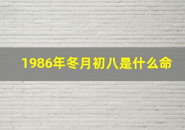 1986年冬月初八是什么命