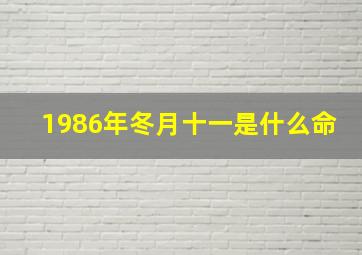 1986年冬月十一是什么命