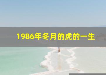 1986年冬月的虎的一生