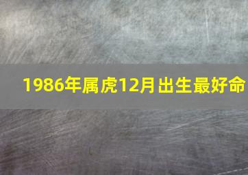 1986年属虎12月出生最好命