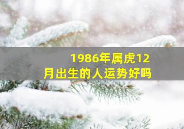 1986年属虎12月出生的人运势好吗