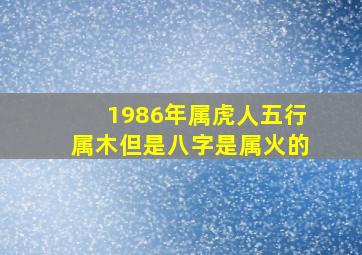 1986年属虎人五行属木但是八字是属火的