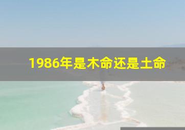 1986年是木命还是土命