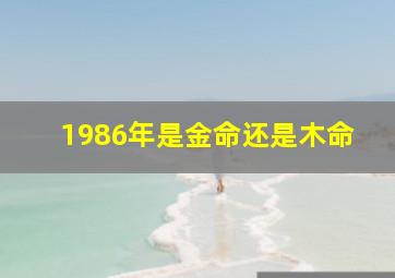 1986年是金命还是木命