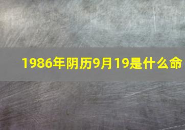 1986年阴历9月19是什么命